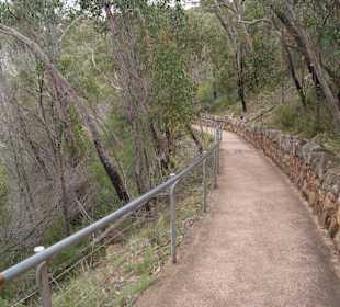 Sehr gepflegtes Wegesystem im NP