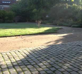 Botanischer Garten