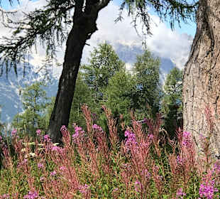 Wandern Hinterstoder