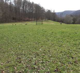 Freizeit-Anlage Buchhalde