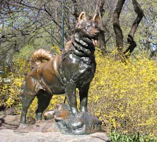 La statua di Balto