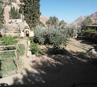 Mosesberg und Katharinenkloster Klostergarten