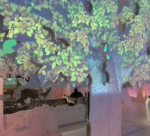 Nationalparkzentrum Haus der Berge