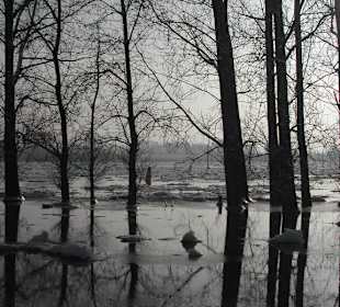 Eisgang auf dem Fluss