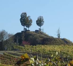 Panorama-Hügel in den Weinbergen von Nordheim