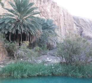 Oasenromantiktour-Jeepsafari, Bergoase Chebika