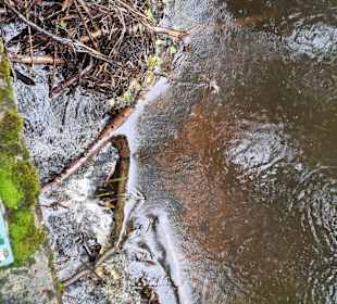 Biberach in der Schwinge