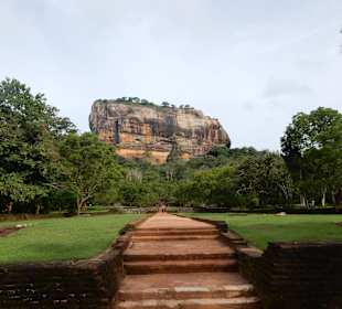 Der imposante Sigiriya - Felsen 