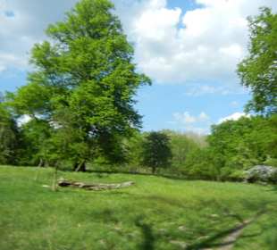 Naturschutzgebiet Boberger Niederung