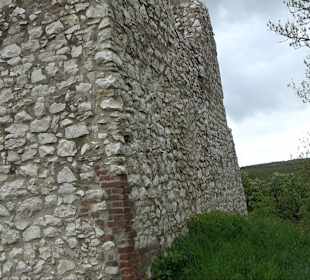 Ruine Burg Kaltenburg