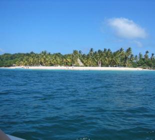 Bacardi Insel