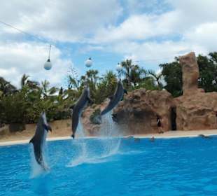 Loro Parque
