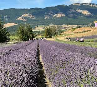 Stadtrundgang Villapiana Lido