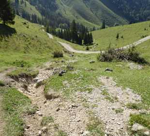 Mariandl-Alm - Wiesenpfad, Forststraße
