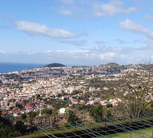 Blick auf Funchal vom Botanischen Garten