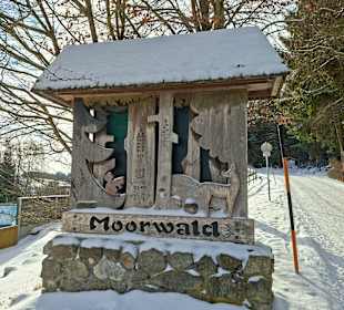 Am Eingang zum Moorwald