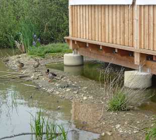 Sind sie nicht niedlich