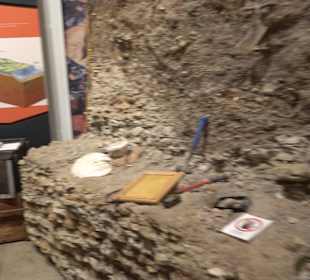 Staatliches Naturkunde Museum