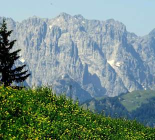 Blick auf den Wilden Kaisern