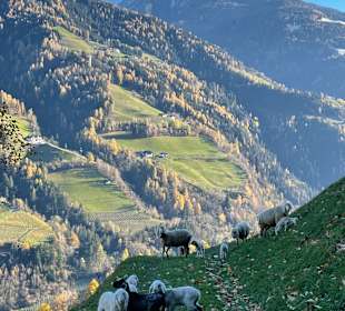 Wandern San Martino in Passiria / St. Martin in Passeier