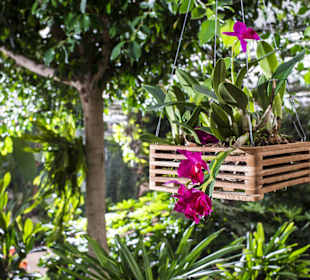 Raffeiner Orchideenwelt