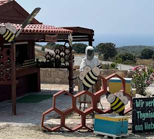 Agios Theologos Beach