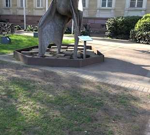 Staatliches Naturkunde Museum