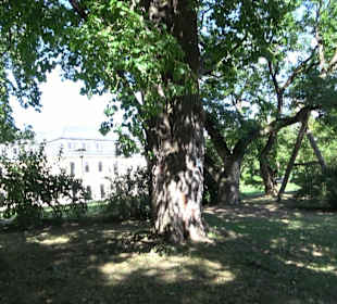 Schlosspark Hohenheim