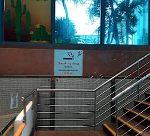 Kaktusgarten - Raucherzone