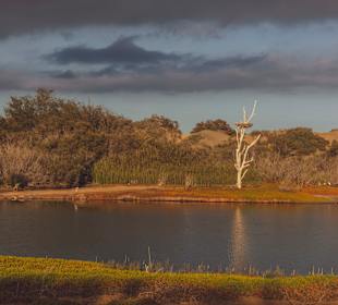 Dünen von Maspalomas