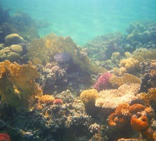 Riff in Ras Mohammed