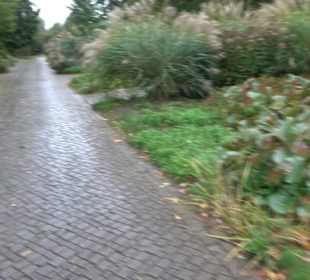 Sprudel- und Quellgarten 