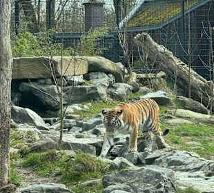 Tiergarten Straubing