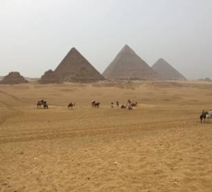 Pyramiden von Giseh