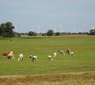 Stadtrundgang Tangermünde