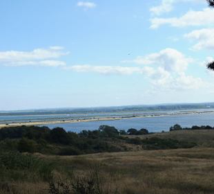 Ausblick