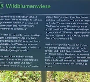 Wildblumen