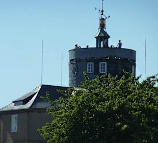 Insel-Wilhelmstein