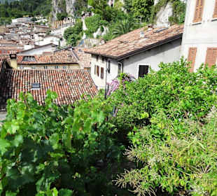 Streifzug durch die Altstadt von Limone