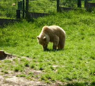 Tierpark Olderdissen