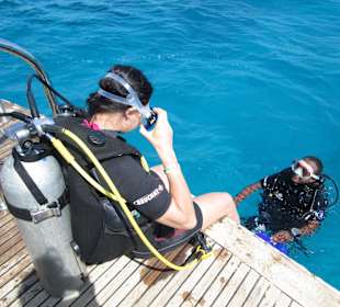 Дайвинг с корабля Marlin Undersea Adventures 