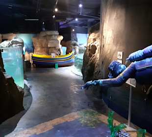 National Aquarium Malta