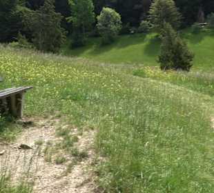 Schlichemquelle Tieringen