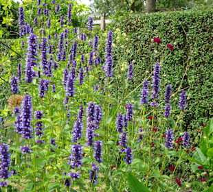 Impressionen aus dem Park der Gärten