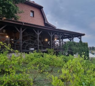 Mühle mit Weinreben