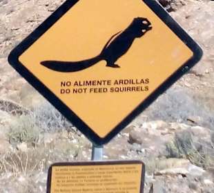 Naturschutzgebiet Pajara in Pajara