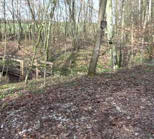 Gomaringer Rundweg - Zu den Giganten im Wald