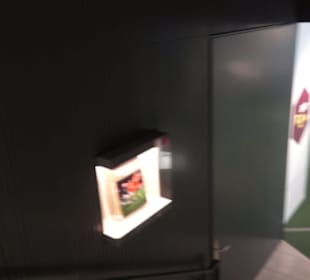 FIFA World Football Museum