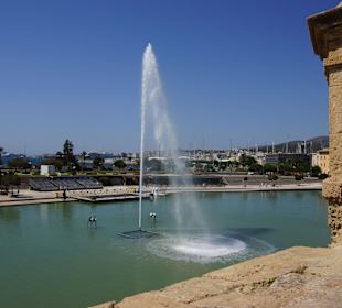 Kathedrale der Heiligen Maria 'La Seu' 