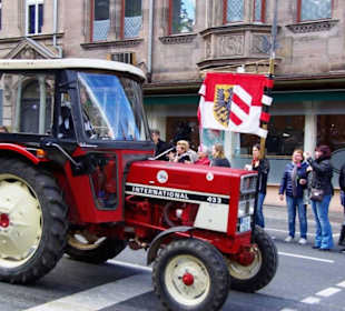 Schwanenritter Nürnberg